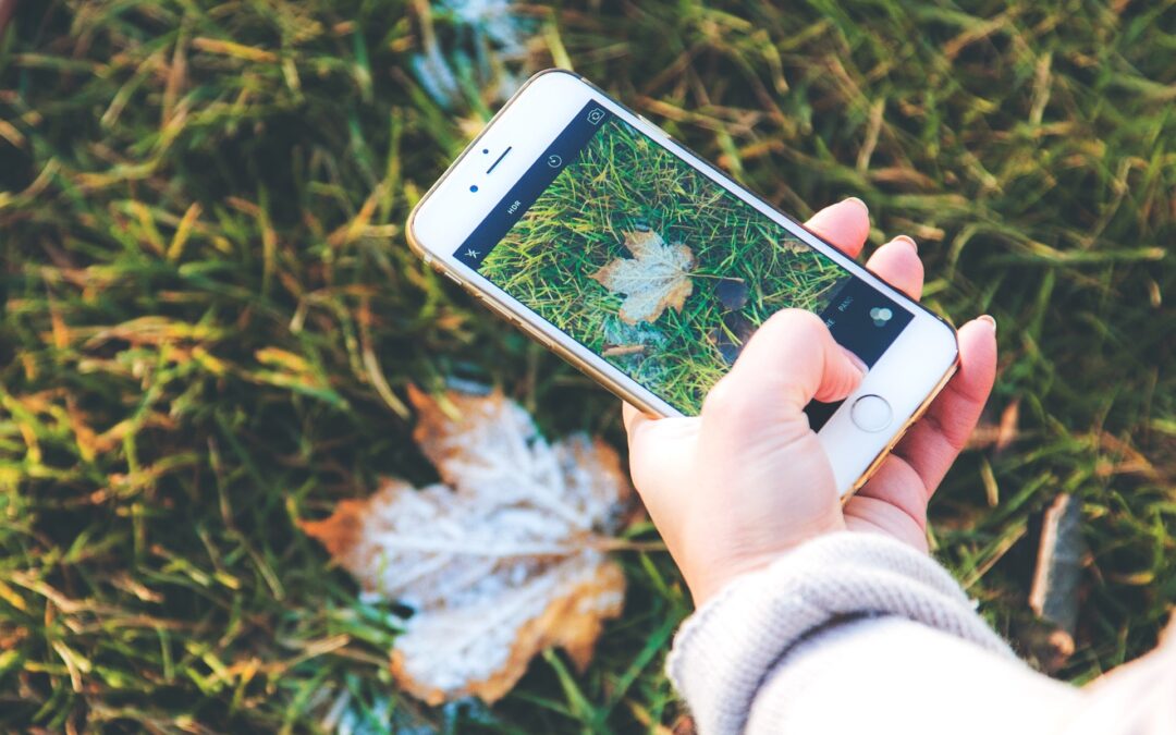 Mobilalkalmazások természeti ismereteink bővítésének szolgálatában